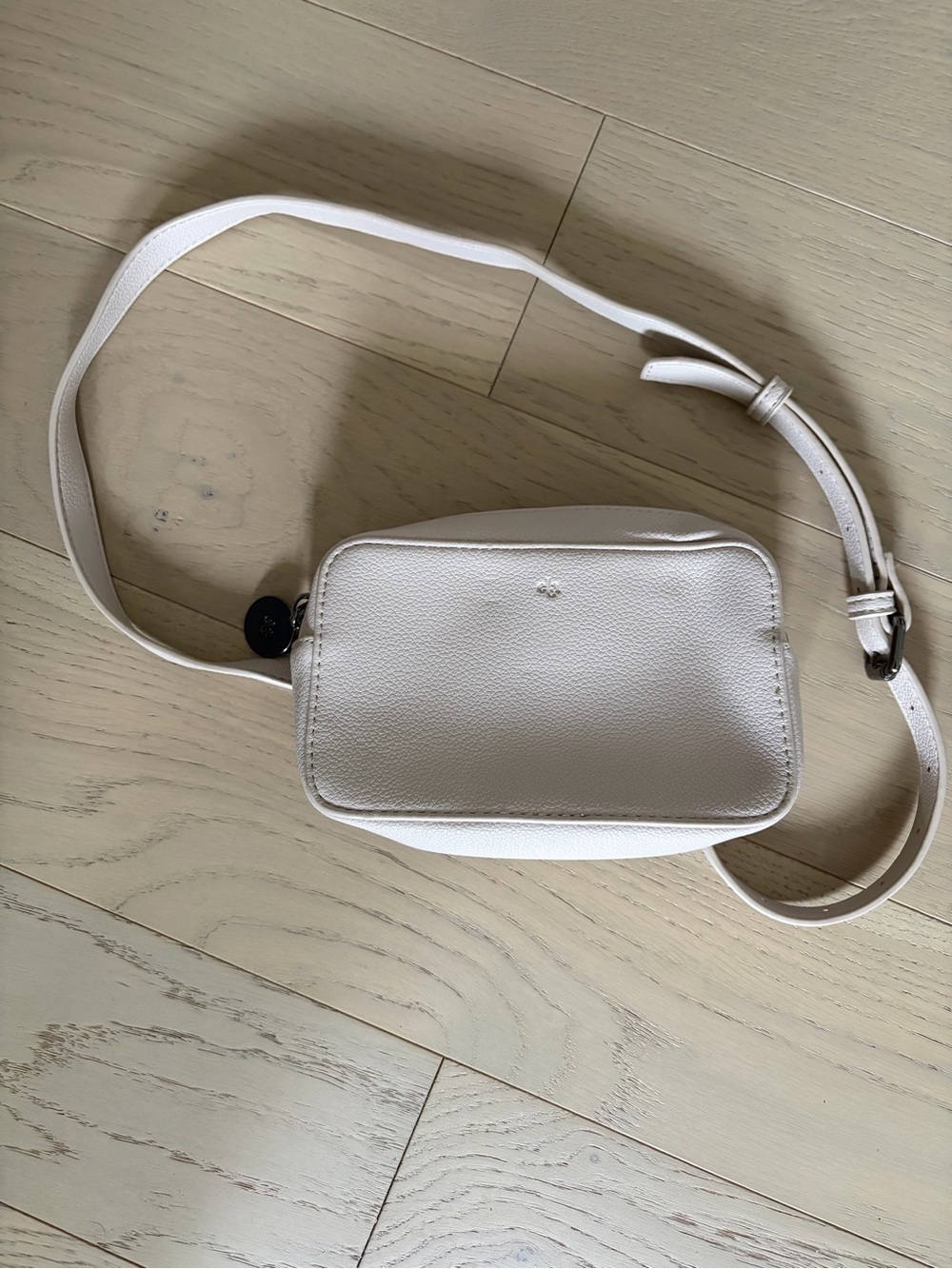 Ela for the Jilly Box Micro Crossbody/Belt Bag